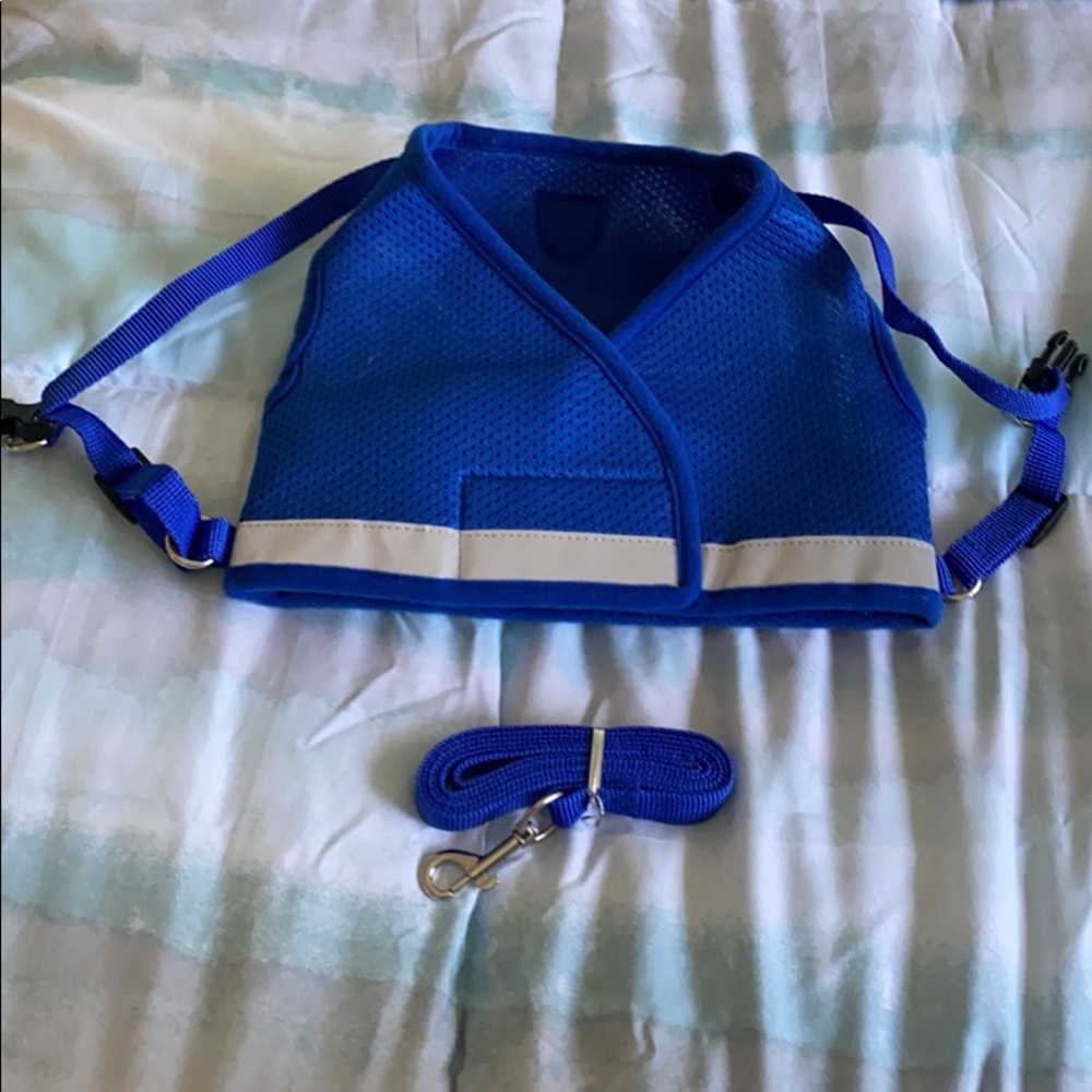 XL cat harness and leash